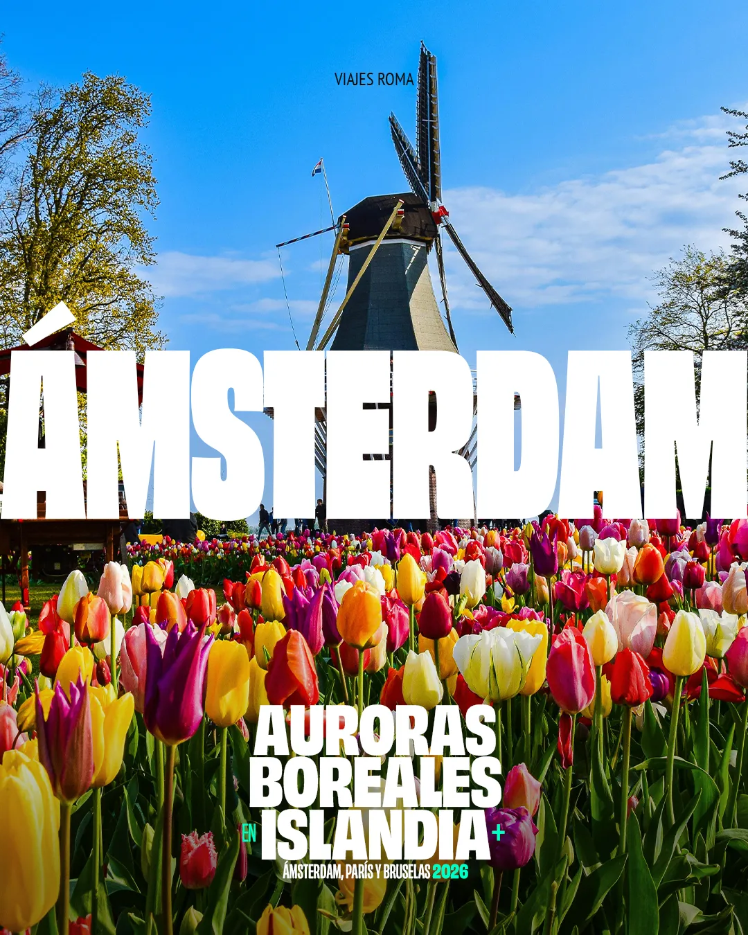 AURORAS BOREALES EN ISLANDIA + AMSTERDAM, PARIS Y BRUSELAS - 2