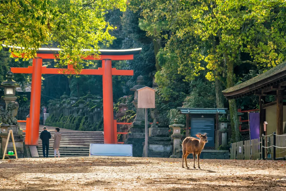 JAPÓN IMPRESCINDIBLE CON TOKYO DISNEYLAND - 1