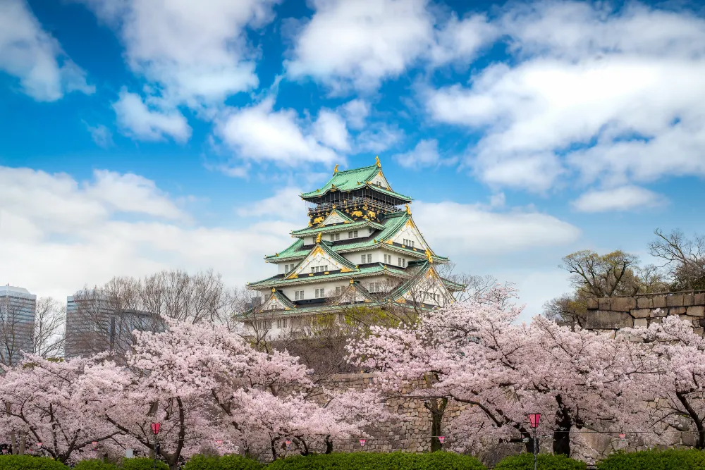 JAPÓN IMPRESCINDIBLE CON TOKYO DISNEYLAND - 2